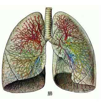 治疗肺纤维化偏方 治疗肺纤维化偏方 肺纤维化怎么治疗 治疗肺纤维化的偏方