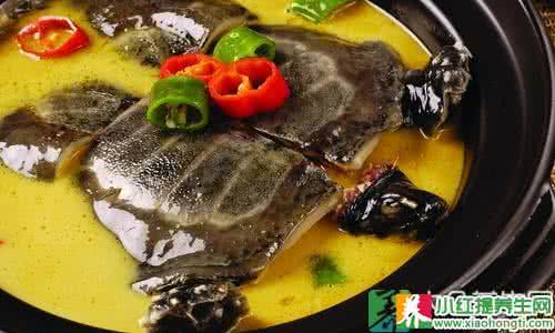 甲鱼煲汤 甲鱼加什么煲汤最好 防病祛病的好膳食