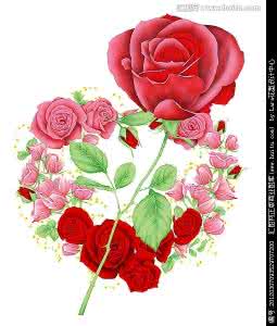 毛巾花样叠法玫瑰花 【花样】别致的模式：“平面玫瑰”