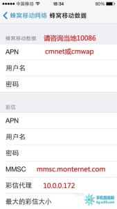 手机移动上网设置 iOS7如何设置手机移动上网