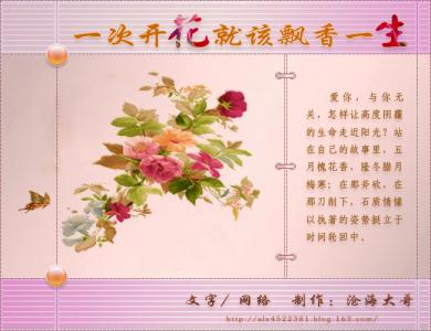 月都花落 沧海花开 一次花开 就该飘香一生﹝沧海图文﹞