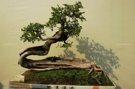 汇付天下接口文档 竹木刺不出方汇辑 文档