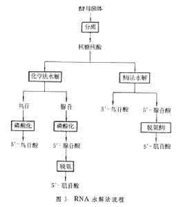 核苷酸种类怎么算 核苷酸类调味料