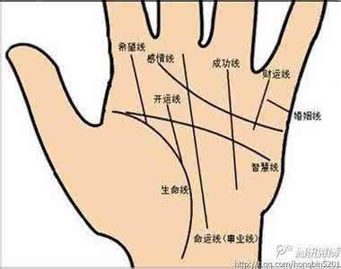 女人右手手相图解大全 看手相