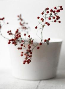 积极向上正能量的歌曲 早安心语 151209:积极向上的句子,满腔的正能量