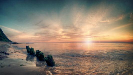 猴头菇多久才会成熟 经过磨炼了才会成熟