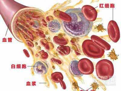 血液粘稠度高怎么治疗 血液黏稠度高怎么办
