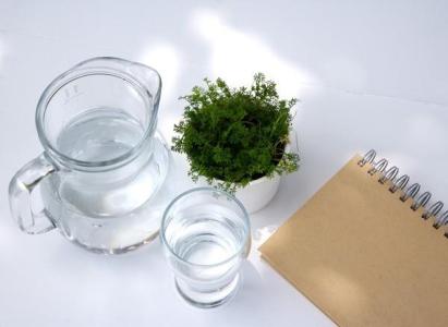 一杯白开水 清晨第一杯水喝什么最好?白开水VS蜂蜜水