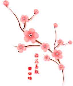 李冒海新梅花易数 新梅花易数