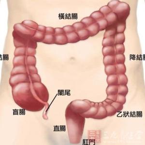 腹部b超能检查肠道吗 腹部出现这物易患肠道癌