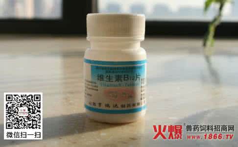 维生素b2的良好来源是 维生素B12的非动物性来源_菡月