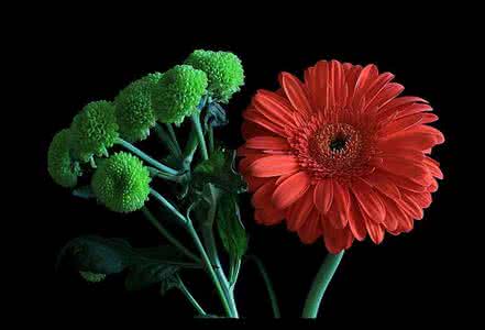 但求问心无愧 人生本来苦短 不必诸事计较 但求问心无愧就好