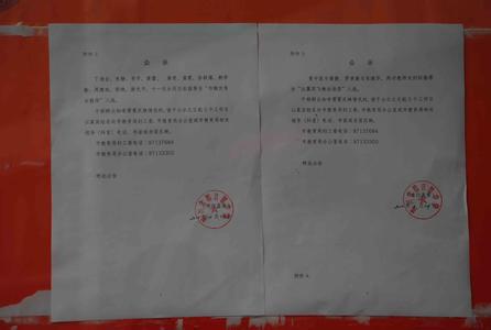 新任女教师2014 迅雷 2014三八节女教师演讲稿3000字