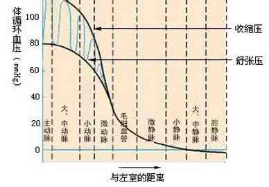 收缩压和舒张压正常值 舒张压