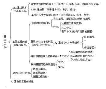 基因工程课件 基因工程学案