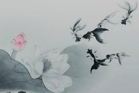 云水禅心古筝弹奏视频 奏一曲云水禅心，弹一曲高天上流云