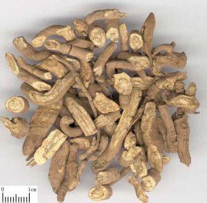马兜铃的副作用 马兜铃的副作用 马兜铃的副作用，有什么用药价值