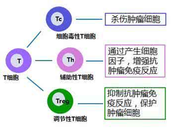 a45肿瘤治疗的负面新 KSR1肿瘤治疗新靶点