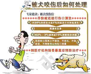 预防性接种狂犬病疫苗 狂犬病疫苗预防注意 你对狂犬病疫苗了解多少