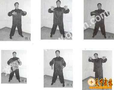 南怀瑾讲站桩是自然桩 站桩心法