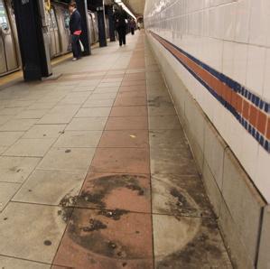 纽约地铁老鼠 纽约老鼠 纽约的老鼠除了会搭手扶梯赶地铁，还学会跳钢管舞了呢