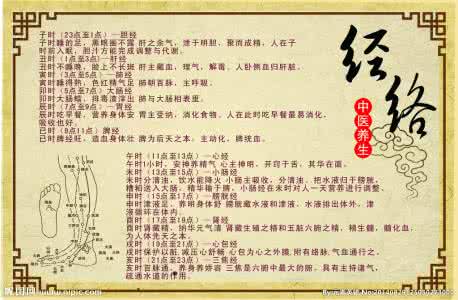 十二时辰经络养生 跟着时辰经络,轻松养生