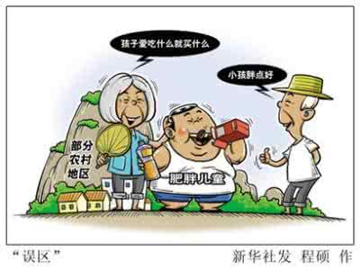 对农村留守幼儿饮食习惯的调查、分析与改进策略