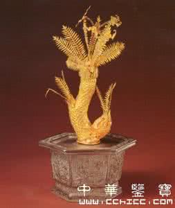 铁树盆景 银盆金铁树盆景