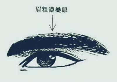 眉压眼 面相 眉压眼面相,重压眉面相图解