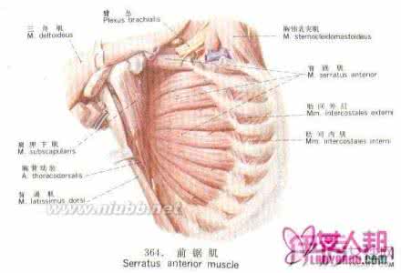 肋间神经炎 肋间神经炎        肋间神经炎常见的治疗方法