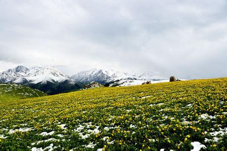 喀拉峻到库尔德宁徒步 醉卧天山最美草原 | 喀拉峻至库尔德宁徒步穿越