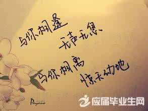 爱情感悟经典名言 爱情感悟的句子