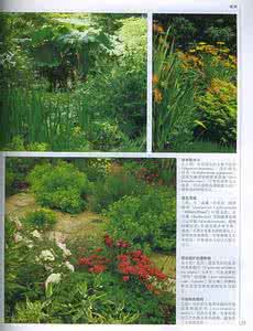 园林植物百科全书 世界园林植物与花卉百科全书（8册）