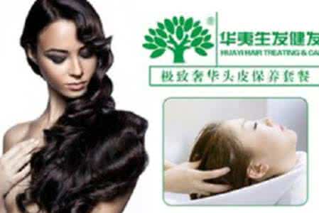 生发乌发茶 拍打生发、乌发