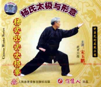 杨式太极拳85式视频 杨式85式太极拳拳架异同之比较（一）