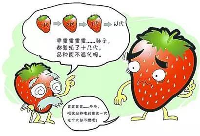 性早熟不能吃的食物 性早熟不能吃的食物 这五种食物,打乱内分泌,加快儿童性早熟2.5倍!