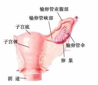 做完爱第二天流血 做完爱第二天出血原因