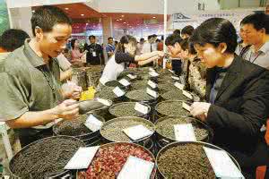 普洱茶乱象 茶市乱象迷人眼：好茶如何选？