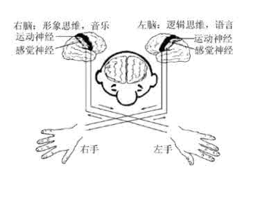 听觉的适宜刺激 听觉刺激潜意识
