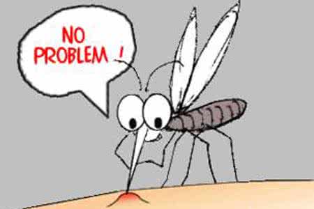 对付蚊子最有效的方法 对付蚊子最有效的方法 对付失眠最有效的4种方法