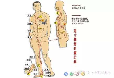 入睡容易但易早醒 【转载】入睡难，顺肝气；容易醒，调脾胃；睡不沉，调肾经！