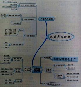 皖北人素质 皖北地区高中化学教师素质调查与分析