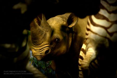 洛贝林 贝林，E.(A.)