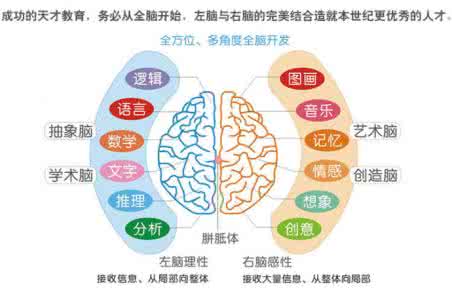 开发右脑潜能的秘诀 开发右脑潜能的秘诀 开发右脑的儿歌