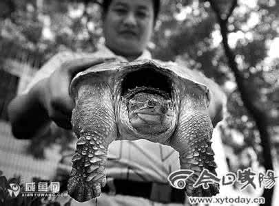 四川人长相 四川人普遍长相 每天吃盐不要超6克 四川人普遍超标