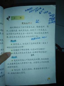 荒岛生存记作文500字 荒岛生存记（格列夫游记续）作文1500字