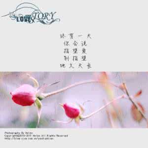 爱情地久天长 爱是，不经意的地久天长