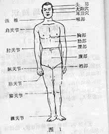 人体要害部位图解 人体要害歌诀