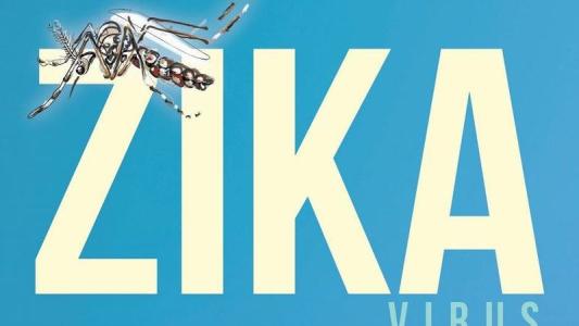 世卫促尽快找到检测寨卡有效工具 成立应对小组