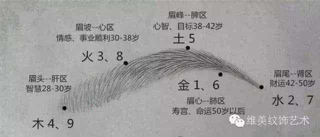 眉毛风水学 大师解析眉毛风水学 生意风水学知识解析 生意风水学知识详解